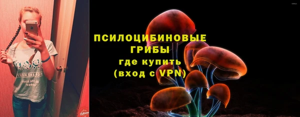 мяу мяу мука Касимов